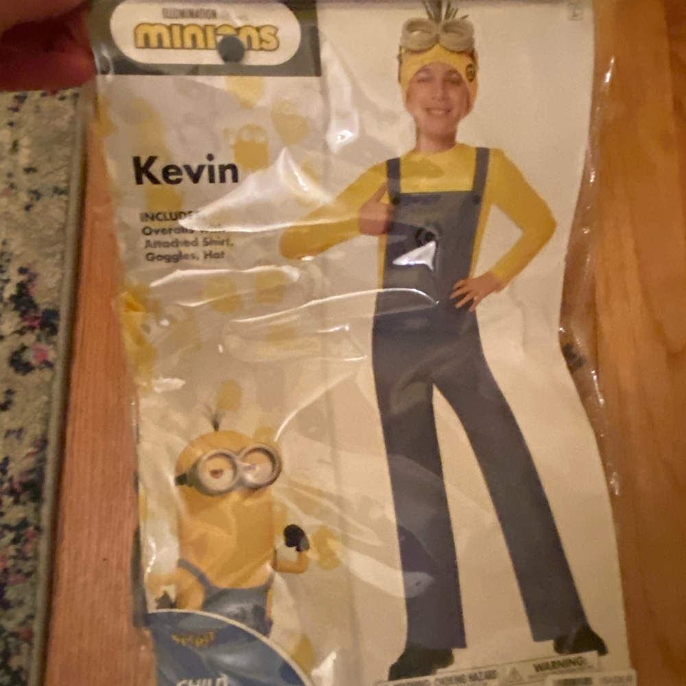 Minions Kevin Halloween Costume Boys Child Small 4-6 Cartoon Spirit Illumination